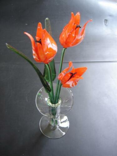 Tulpen groot rood