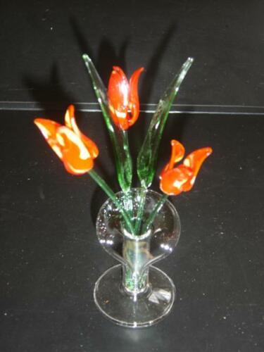 Tulpen klein rood