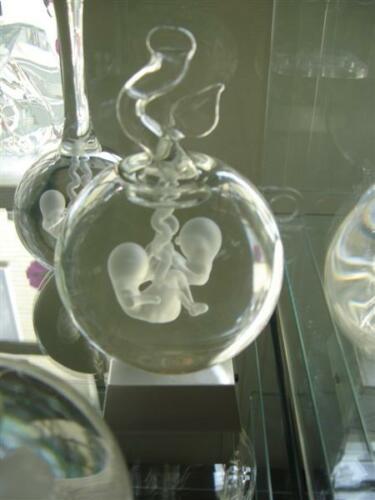 Embryo appel tweeling