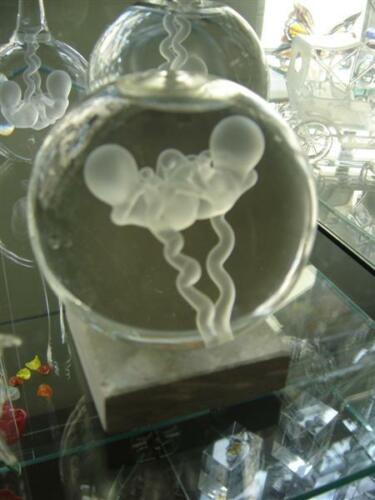 Embryo bol tweeling